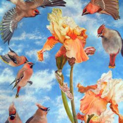 <i>How to Watch for the Sunrise</i> Laureen Marchand How to Watch for the Sunrise waxwings bird painting available for purchase from laureenmarchand.com with worldwide shipping