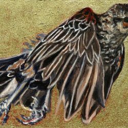 <i>Small Wonders: Ms Redwing at Speed</i> Laureen Marchand redwinged Blackbird female climate change art bird painting available for purchase from laureenmarchand.com with worldwide shipping