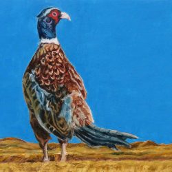 <i>A Proper Pheasant</i> Ring-necked pheasant painting in Grasslands landscape available at Nouveau Gallery Regina SK