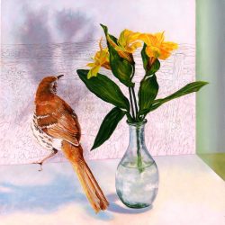 <i>Half-Shadow</i> Half-Shadow by Laureen Marchand bird art oil painting brown thrasher and flower vase in imagined landscape
