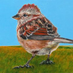 <i>Tree Sparrow's Prairie Sojourn</i> Painting of small tree sparrow exploring landscape without trees available at Nouveau Gallery Regina SK
