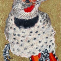 Small Wonders: Full Colour Flicker Full Colour Flicker by Laureen Marchand by Laureen Marchand bright plumage drumming bird climate change art