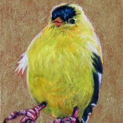 Small Wonders: Somebody's Goldfinch Somebody's Goldfinch by Laureen Marchand bright yellow laughing bird climate change art